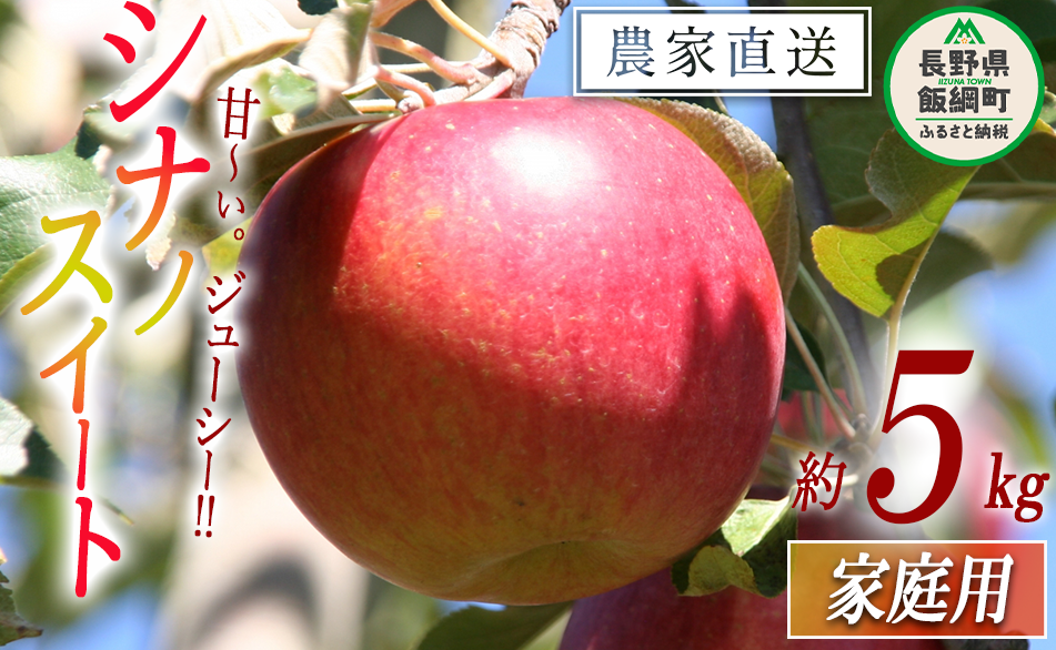 りんご シナノスイート 家庭用 5kg ファームたんぽぽ 2025年10月下旬頃から2025年11月上旬頃まで順次発送予定 令和7年度収穫分 信州 果物 フルーツ リンゴ 林檎 長野 予約 農家直送 長野県 飯綱