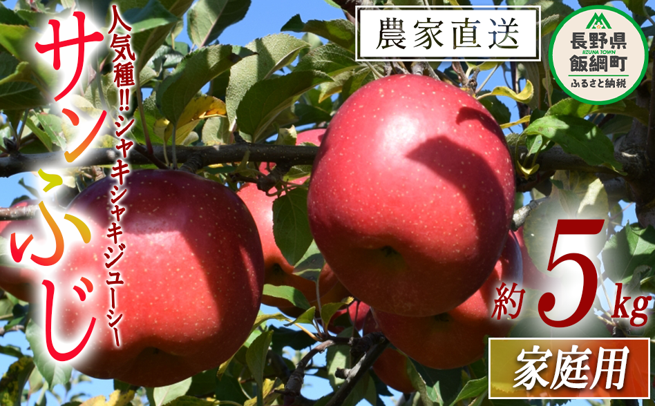 りんご サンふじ 家庭用 5kg ファームたんぽぽ 沖縄県への配送不可 2025年12月上旬頃から2026年1月中旬頃頃まで順次発送予定 令和7年度収穫分 信州 果物 フルーツ リンゴ 林檎 長野 予約 農家直