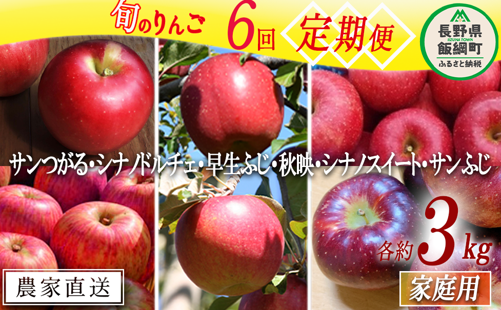 旬のりんご 【 定期便 】 家庭用 3kg × 6回 ファームたんぽぽ 沖縄県への配送不可 2025年9月上旬頃から2025年12月下旬頃まで順次発送予定 令和7年度収穫分 信州 果物 フルーツ リンゴ 林檎 長野