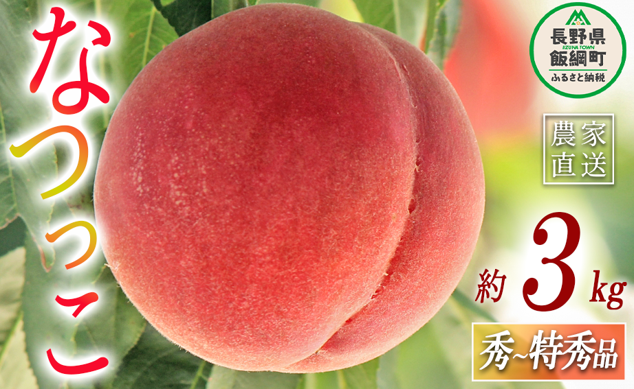 もも なつっこ 秀  特秀 約 3kg 大垣農園 配送先は本州限定 2023年8月中旬頃から2023年8月下旬頃まで順次発送予定 令和5年度収穫分 信州 果物 フルーツ モモ 桃 川中島 白桃 あかつき オリジナル