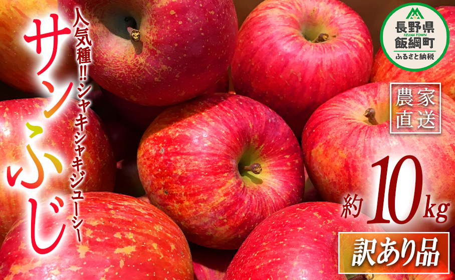 りんご サンふじ 訳あり 10kg 大垣農園 沖縄県への配送不可 2025年11月下旬頃から2025年12月下旬頃まで順次発送予定 令和7年度収穫分 傷 不揃い リンゴ 林檎 果物 フルーツ 信州 長野 16500円 予約