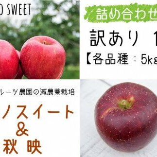 [0375]yߘa6NxnzHf 5kg  VimXC[g 5kg i󂠂j v10kg Zbg@ꂨїւ̔zs@2024N10{珇\@}}t[c_@MB̊