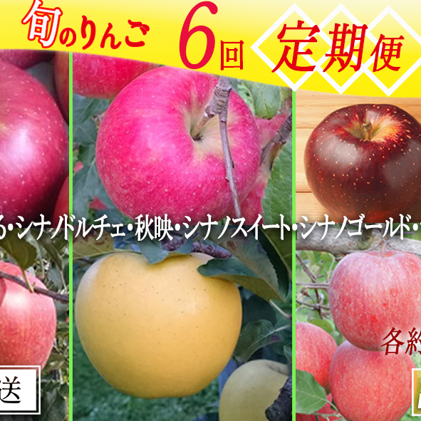 旬のりんご 【 定期便 】 訳あり 5kg × 6回 マルヤマフルーツ農園 沖縄県への配送不可 2024年9月上旬頃から12月中旬頃までお申込み順に発送予定 令和6年度収穫分 減農薬栽培 ( 除草剤 化学肥料