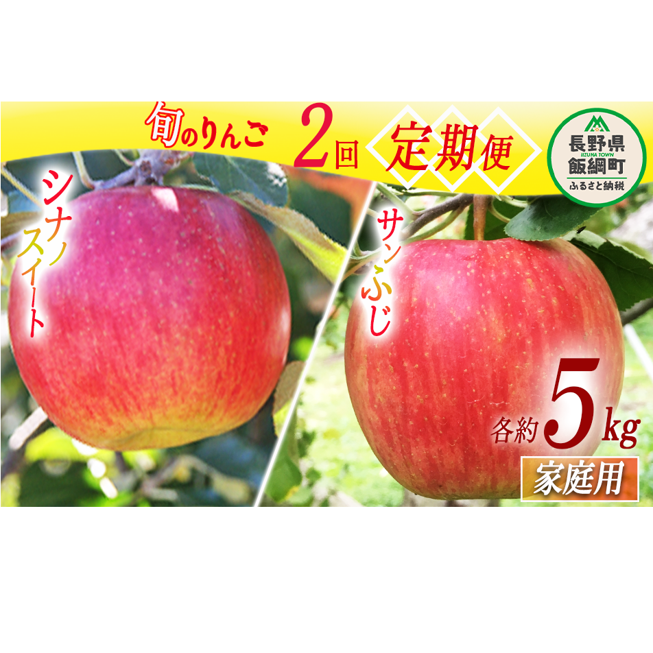 旬のりんご 【 定期便 】 家庭用 5kg × 2回 永正の地蔵尊神谷農園 沖縄県への配送不可 2025年10月上旬頃から2025年12月中旬頃まで順次発送予定 令和7年度収穫分 信州 果物 フルーツ リンゴ 林檎