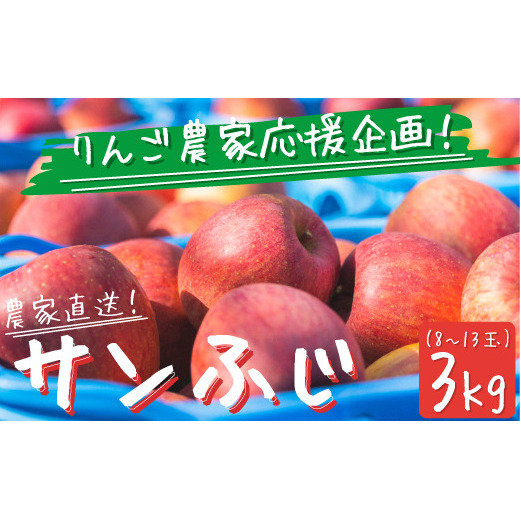\農家応援企画/【令和7年度先行予約返礼品】りんご サンふじ 3kg (約 8 〜 13玉 ) 訳あり 〜 家庭用 《 ふじ リンゴ 林檎 訳アリ わけあり 不揃い 果物 くだもの フルーツ 長野県産 長野 お