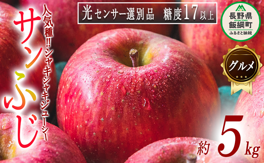 りんご サンふじ グルメ ( 贈答用 ) 5kg 最高級 糖度17度以上 光センサー選別品 ながの農業協同組合 2025年12月上旬頃から2025年12月下旬頃まで順次発送予定 令和7年度収穫分 果物 特選 特秀 数量