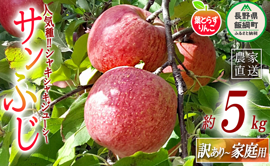 りんご 葉とらず サンふじ 訳あり 5kg 米澤農園 沖縄県への配送不可 2024年11月下旬頃から2024年12月下旬頃まで順次発送予定 令和6年度収穫分 傷 不揃い リンゴ 林檎 果物 フルーツ ふじ 信州 長