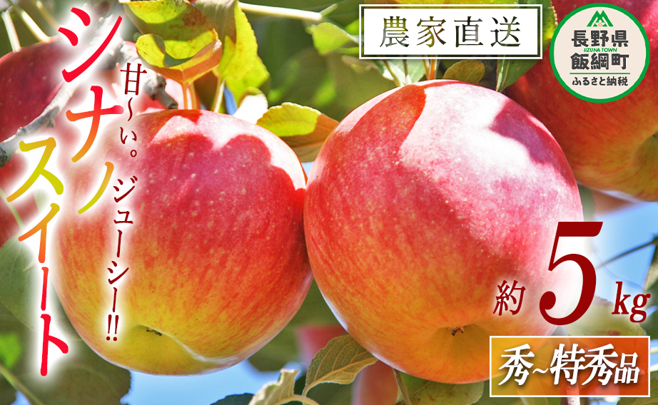 りんご シナノスイート 秀  特秀 5kg 原山農園 沖縄県への配送不可 2024年10月中旬頃から2024年11月上旬頃まで順次発送予定 令和6年度収穫分 信州 果物 フルーツ リンゴ 林檎 長野 16000円 予約 農