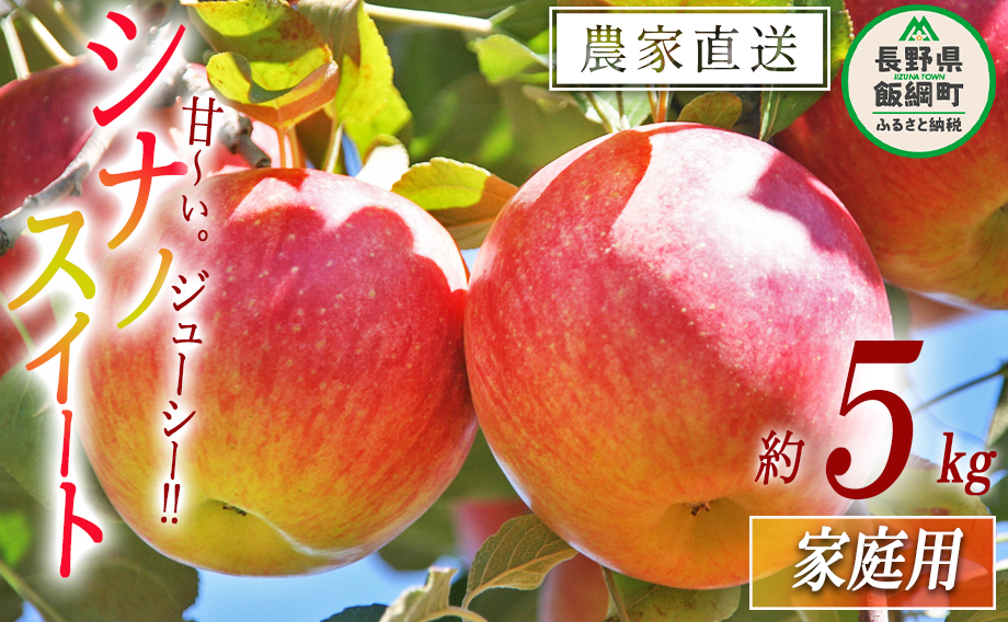 りんご シナノスイート 家庭用 5kg 原山農園 沖縄県への配送不可 2024年10月中旬頃から2024年11月上旬頃まで順次発送予定 令和6年度収穫分 信州 果物 フルーツ リンゴ 林檎 長野 12000円 予約 農