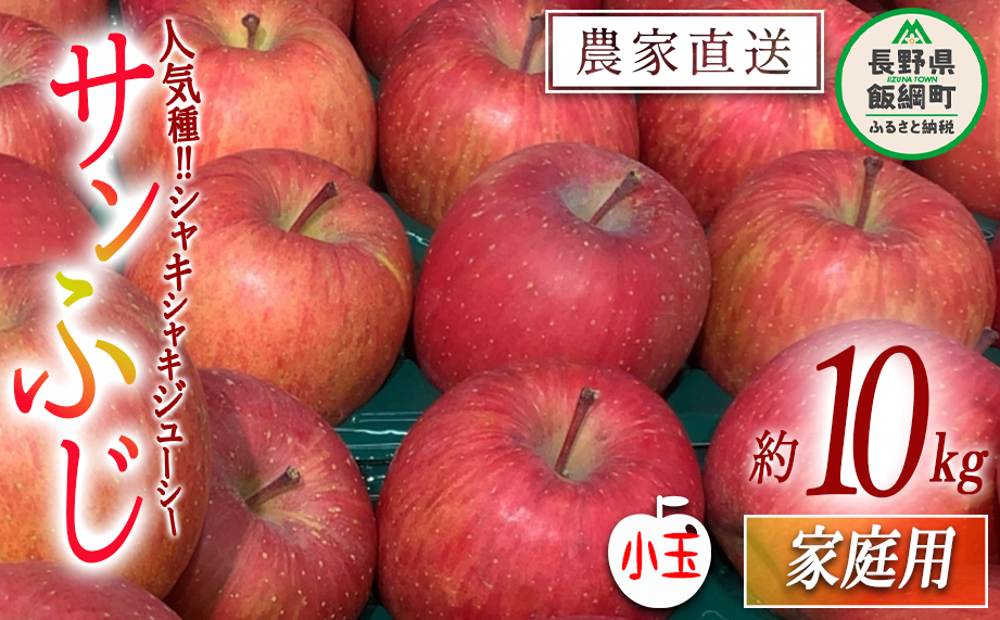 りんご サンふじ 家庭用 ( 小玉 ) 10kg 原山農園 沖縄県への配送不可 2026年1月上旬頃から2026年3月上旬頃まで順次発送予定 令和7年度収穫分 信州 果物 フルーツ リンゴ 林檎 長野 予約 農家直送