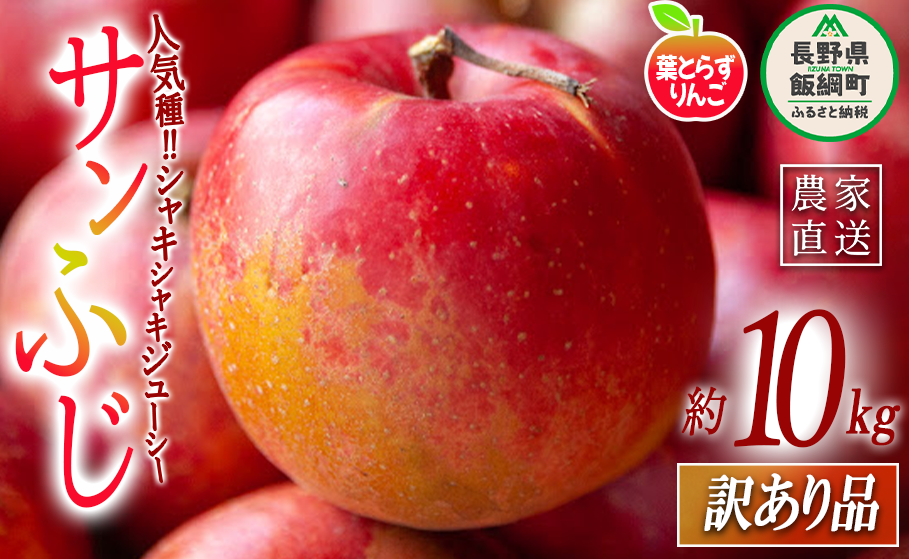 りんご 葉とらず サンふじ 訳あり 10kg かざまファーマー 沖縄県への配送不可 2024年11月中旬頃から2025年3月中旬頃まで順次発送予定 令和6年度収穫分 傷 不揃い リンゴ 林檎 果物 フルーツ 信