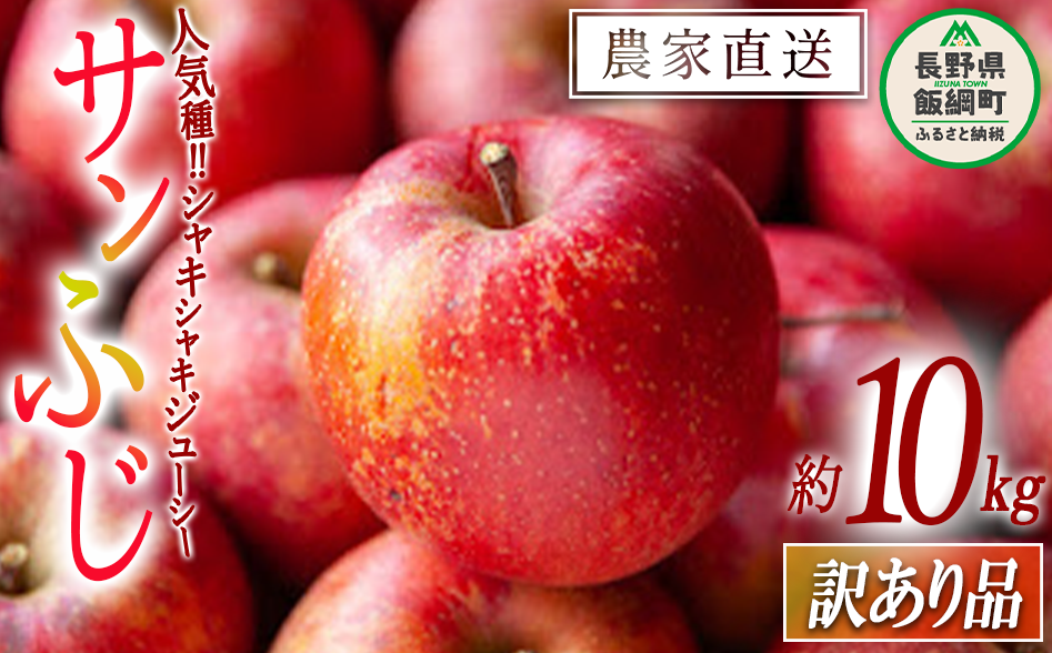  Tӂ 󂠂 10kg ߘa7Nxn ꌧւ̔zs 2025N12{2025N12{܂ŏ\ {{t@[ GRt@[}[ _͔| 쌧 эj [1492]쌧