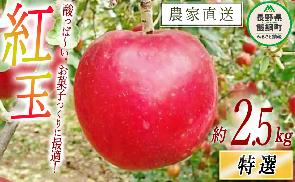 りんご 紅玉 特選 2.5kg やまじゅうファーム 沖縄県への配送不可 2025年10月上旬頃から2025年10月中旬頃まで順次発送予定 令和7年度収穫分 信州の環境にやさしい農産物 減農薬栽培 長野県 飯綱