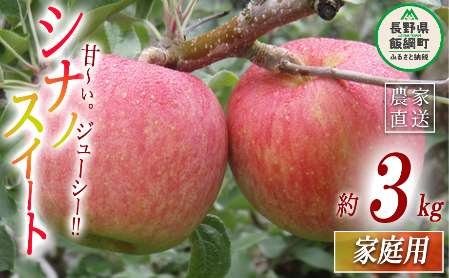 りんご シナノスイート 家庭用 3kg ヤマウラ農園 沖縄県への配送不可 2024年10月中旬頃から2024年10月下旬頃まで順次発送予定 令和6年度収穫分 信州 果物 フルーツ リンゴ 林檎 長野 12000円 予約