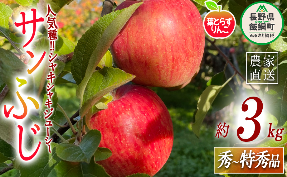  tƂ炸 Tӂ G`G 3kg tbVt[c~JYL ꌧւ̔zs 2024N11{2025N1{܂ŏ\ ߘa6Nxn MB ʕ t[c S