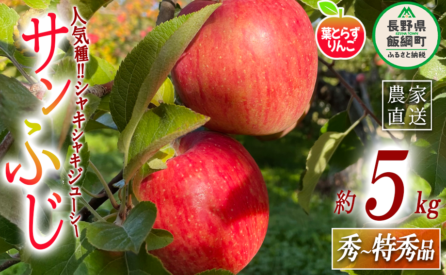  tƂ炸 Tӂ G`G 5kg tbVt[c~JYL ꌧւ̔zs 2024N11{2025N1{܂ŏ\ ߘa6Nxn MB ʕ t[c S