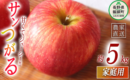 りんご サンつがる 家庭用 5kg マルハ農園 沖縄県への配送不可 2025年9月上旬頃から2025年9月下旬頃まで順次発送予定 令和7年度収穫分 エコファーマー認定 信州 果物 フルーツ リンゴ 林檎 長