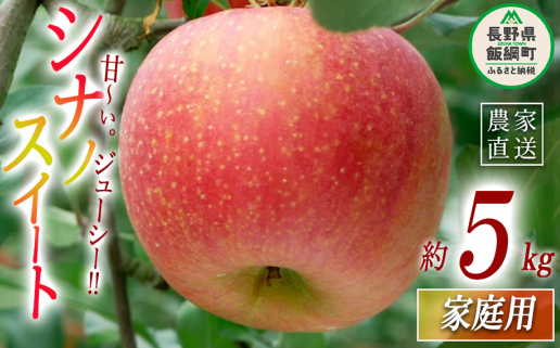 りんご シナノスイート 家庭用 5kg マルハ農園 沖縄県への配送不可 2025年10月上旬頃から2025年11月上旬頃まで順次発送予定 令和7年度収穫分 エコファーマー認定 信州 果物 フルーツ リンゴ 林