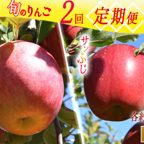 G߂̂ yցz2i 5kg × 2 G R_ ւ͔zs  2024N10{甭\ 쌧 эj [1825]쌧эj32000ʕEt[c񂲁E