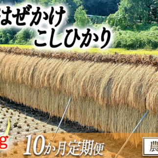  RVqJ 5kg × 10 ( 10  )   ͂ ct@[ ւ͔zs yߘa6Nxnz 2024N11{甭\ 쌧 эj [1819]쌧эj130000āEp