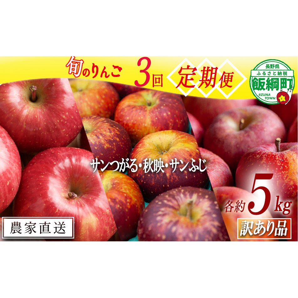 旬のりんご 【 定期便 】 訳あり 4.5kg〜5kg × 3回 松橋りんご園 沖縄県への配送不可 2025年9月上旬頃から2025年12月下旬頃まで順次発送予定 令和7年度収穫分 フルーツ リンゴ 信州 長野県 飯綱町
