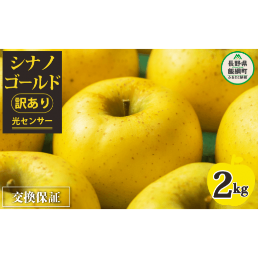 【 感謝りんご / 光センサー選別品 】 りんご シナノゴールド 訳あり 2kg ( 5玉 〜 12玉 ) 交換保証 ながの農業協同組合 沖縄県への配送不可 2025年11月上旬頃から2025年11月下旬頃まで順次発送