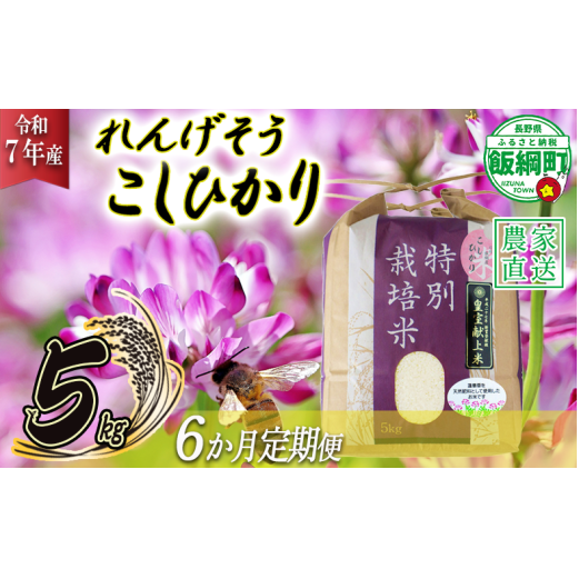 米 れんげそう こしひかり 5kg × 6回 【6ヶ月定期便】 ( 令和7年産 ) 特別栽培米 仲俣農園 2025年10月上旬頃から順次発送予定 コシヒカリ 白米 精米 お米 信州 159000円 予約 農家直送 長野県 飯綱