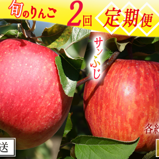 G߂̂ yցz {2i 5kg × 2 ƒp }JY񂲔_ ւ͔zs  2025N10{甭\ 쌧 эj [1935]쌧эj24000ʕEt[c񂲁E