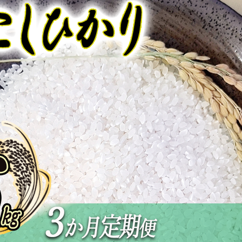 S_Ƃ̂āi RVqJ 5kg jy 3 z V_ ͔zs yߘa7NxnzF2025N11{` [1959]쌧эj48000āEp