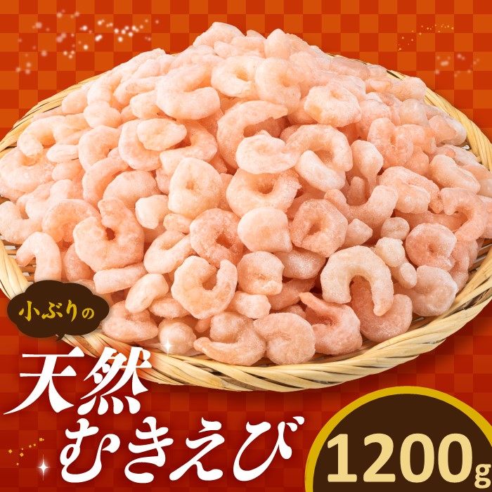 A1497.yoŕ֗zԂ̓VRނсi1.2LjV{10000ECYGr