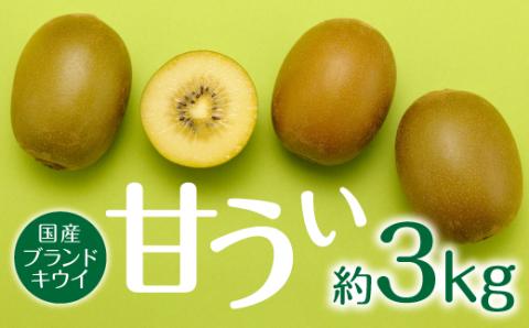 AB135.BEt[c蒼.lC̐VuhLECt[ciÂj3kg^2025N11zyÂzV{12000ʕEt[c̑ ʕEt[c