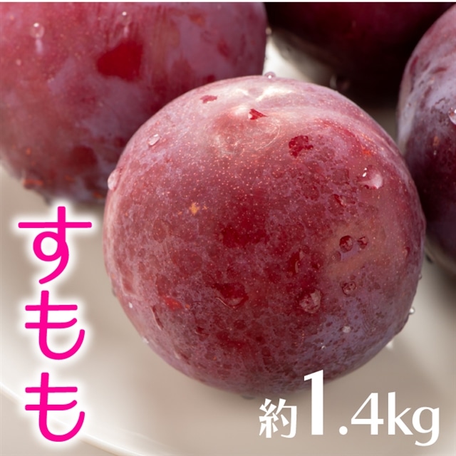 AB136.九州・福岡フルーツ王国より直送.すもも.約1.4kg/2026年6月配送福岡県新宮町12000果物・フルーツもも・すもも