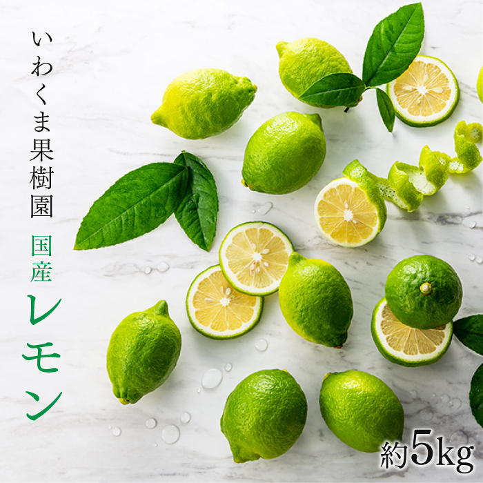AA079.貴重な国産レモン.約5kg.新宮町産の逸品です/2025年9月〜2026年2月発送予定福岡県新宮町11000果物・フルーツその他 果物・フルーツ