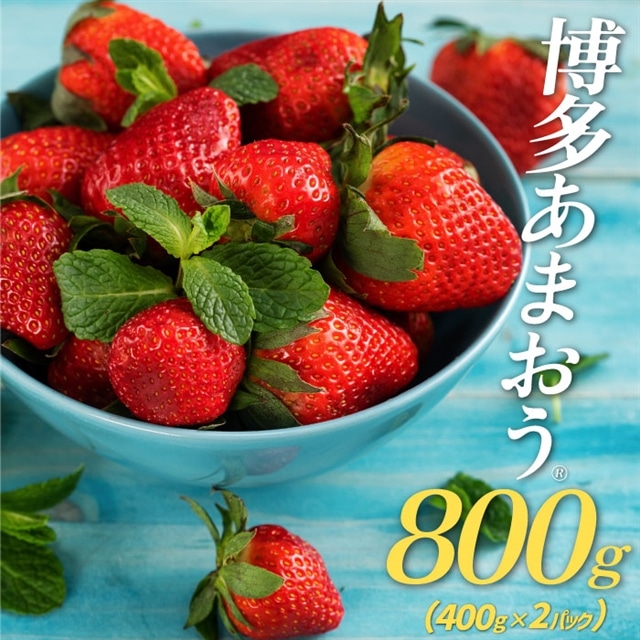 AB144.i܂iSOO×QpbNj^QOQUNP{`Sy܂zV{12000ʕEt[c