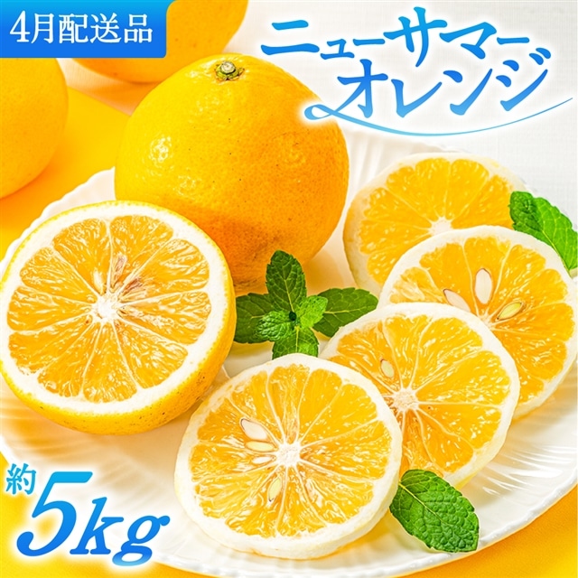 AA115.福岡柑橘王国.ニューサマーオレンジ約5kg/2026年4月配送福岡県新宮町11000果物・フルーツみかん・柑橘類