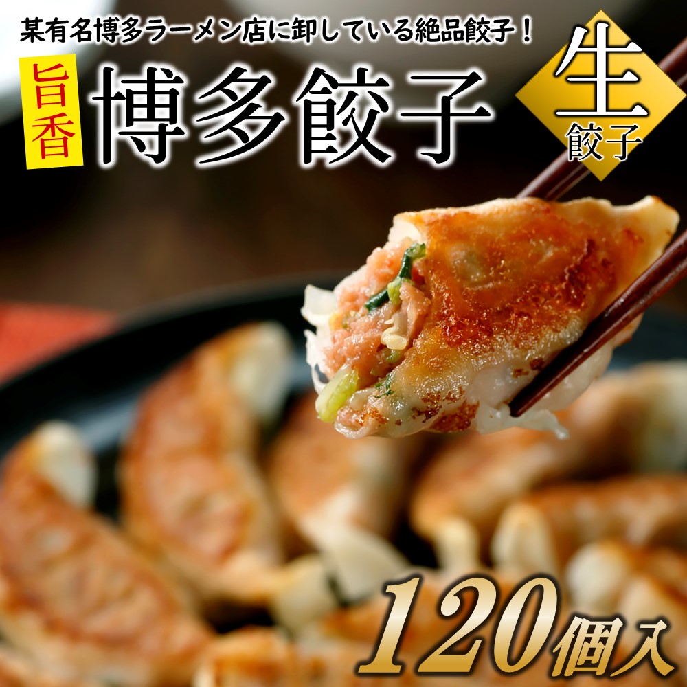 AB285.【創業40年の老舗が誇る味わい】博多餃子120個福岡県新宮町12000肉豚肉