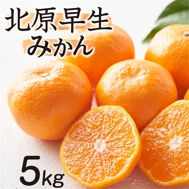 AA139.【予約受付・期間限定商品】北原早生みかん(5kg程度).2026年10月〜11月配送福岡県新宮町11000果物・フルーツみかん・柑橘類