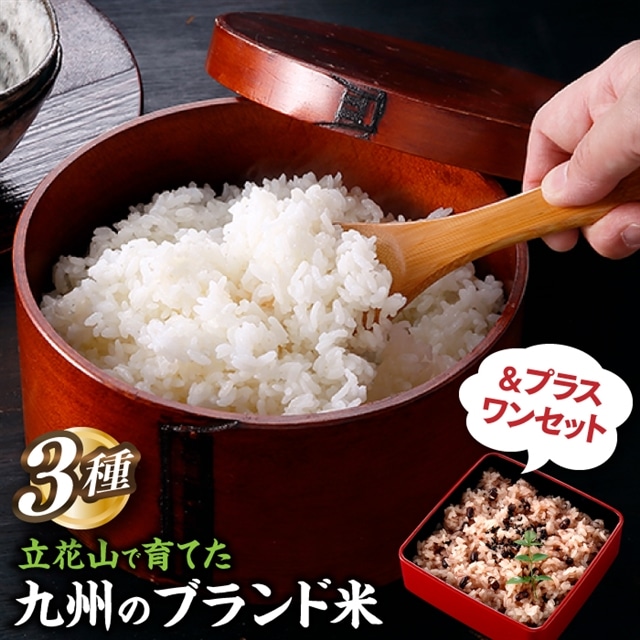 BH005.立花山で育てた九州のブランド米・味くらべ&プラスワンセット(数量限定商品)福岡県新宮町28000米・パン白米