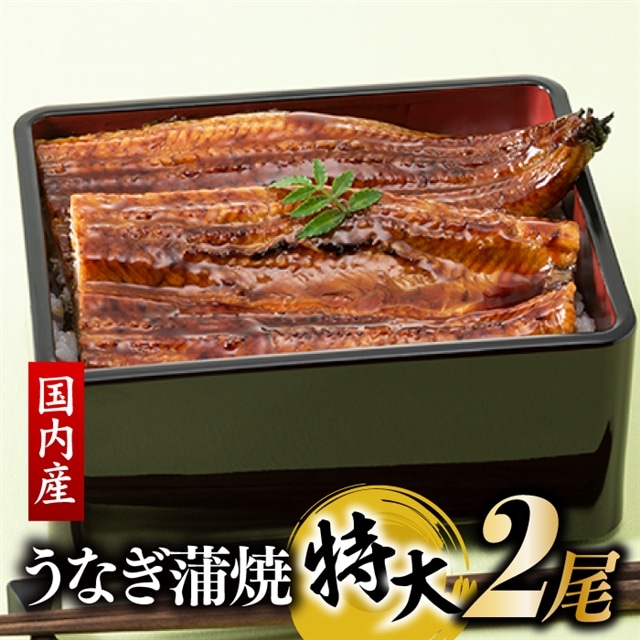 AG070.【国内産】【有頭】うなぎ蒲焼 (特大) 2尾 <計500g前後>『1〜2ヶ月前後でお届け!!』福岡県新宮町17000魚介・海産物うなぎ