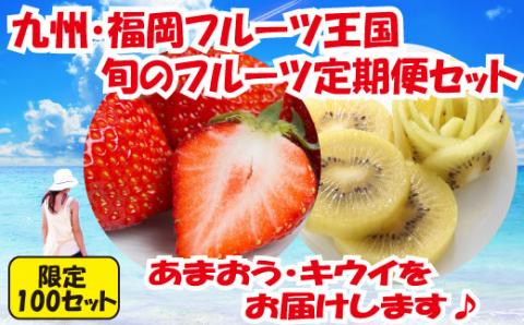 BD009.【人気】九州・福岡フルーツ王国.旬のフルーツ定期便Kセット福岡県新宮町24000果物・フルーツいちご
