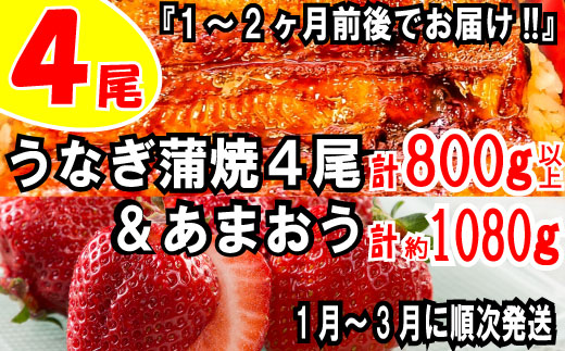 BD018.うなぎの蒲焼4尾&いちごの王様あまおう1080g【新宮町ミラクルセット】福岡県新宮町24000果物・フルーツいちご