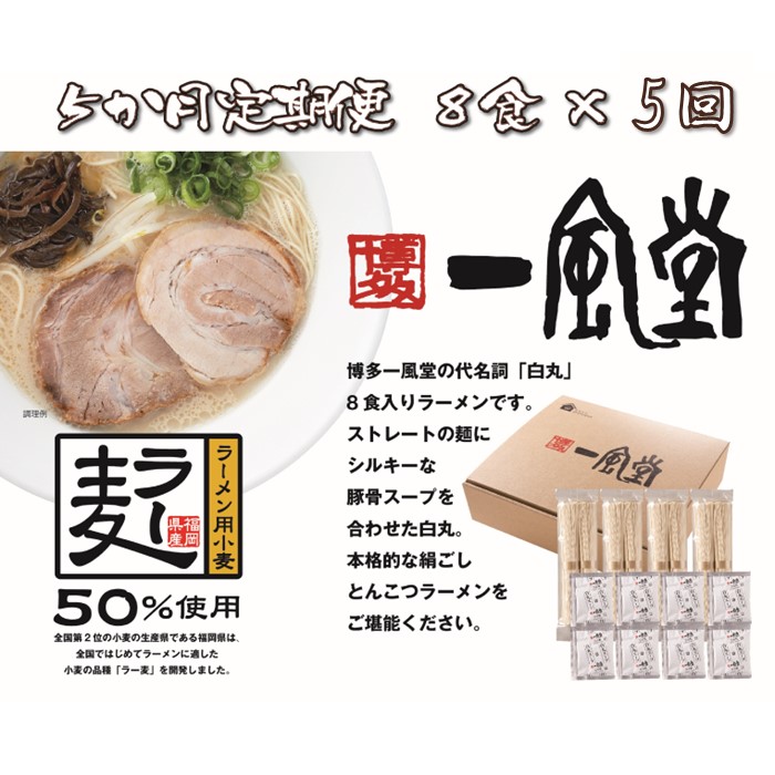 E133.【全5回定期便】一風堂白丸ラー麦麺セット・8食【豚骨ラーメン】福岡県新宮町50000麺ラーメン