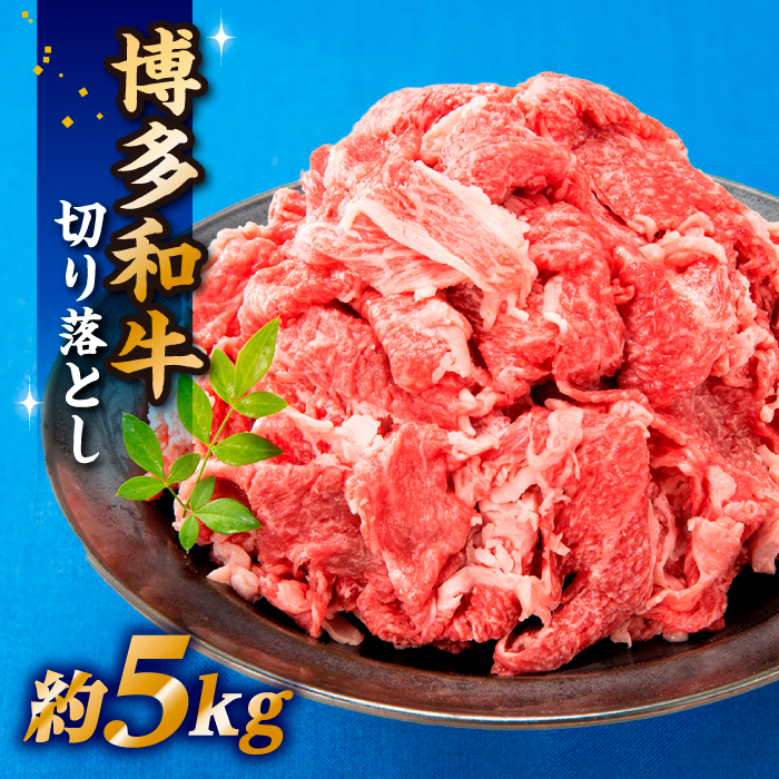 EE009.博多和牛切り落とし(5kg)福岡県新宮町55000肉