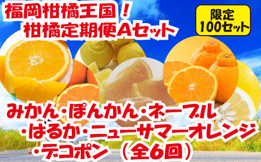 FF003.福岡柑橘王国!柑橘定期便Aセット福岡県新宮町66000果物・フルーツみかん・柑橘類