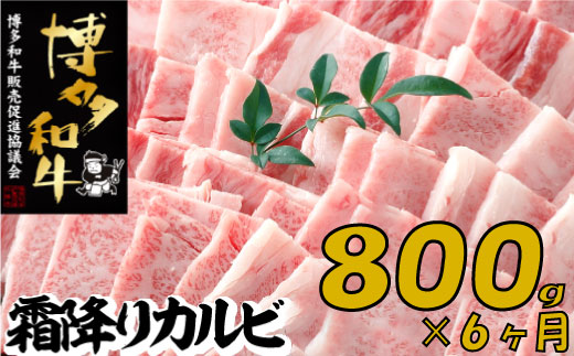 J079.【博多和牛】A4・A5等級こくうま霜降りカルビ焼肉800g×6か月定期便福岡県新宮町100000肉牛肉