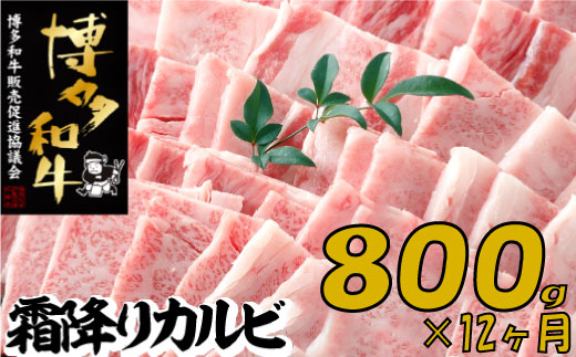 K051.yazASE`Tܑ~JrēWOO×PQ֕V{200000