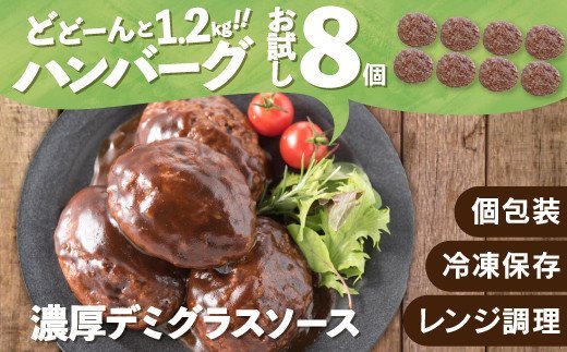 ZG146.累計40万個突破記念!お試し1.2kg!デミハンバーグ【150g×8個】福岡県新宮町7000肉