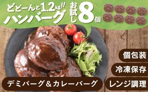 ZG197.累計40万個突破記念!お試し1.2kg!デミ&カレーハンバーグセット【150g×8個】福岡県新宮町7000肉