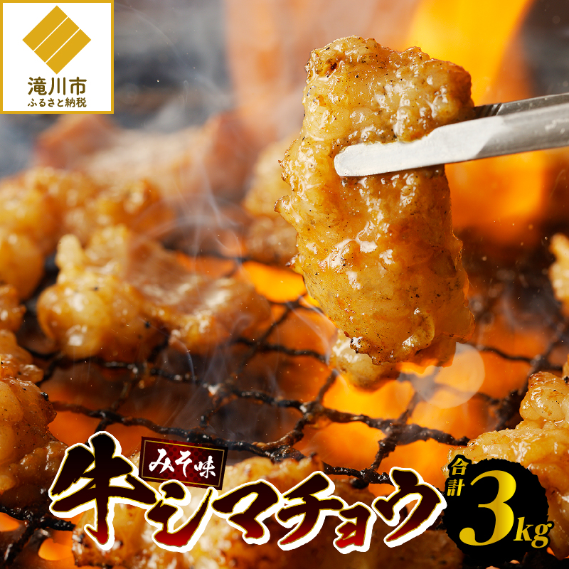 V}`E300g×10 kC ݂ X ē z Z BBQ ZbgkCs30000