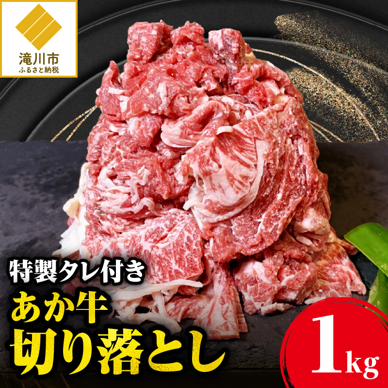 uv _a̐؂藎Ƃ(1L) Yʂ˂gp^tkCs12000
